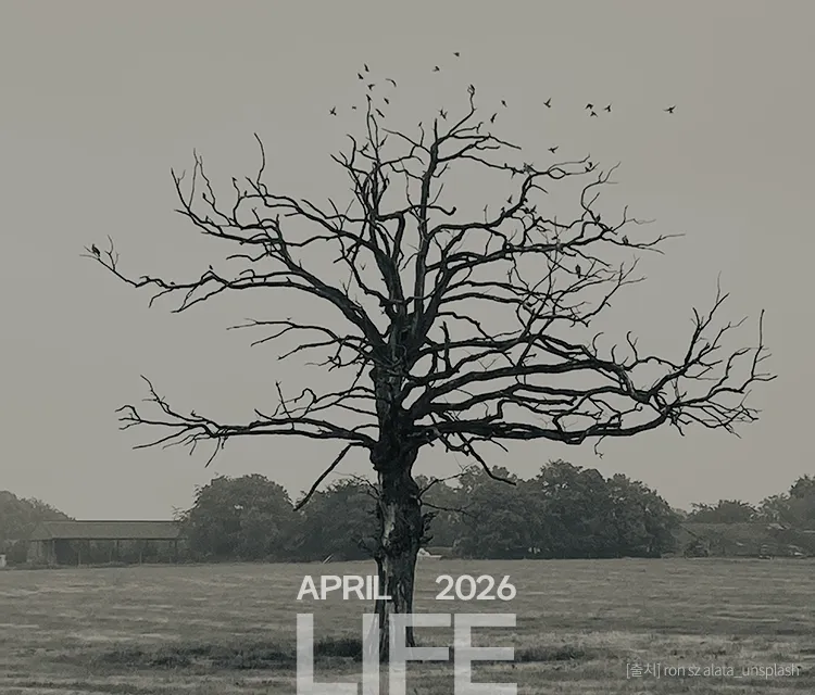 25호 LIFE #2