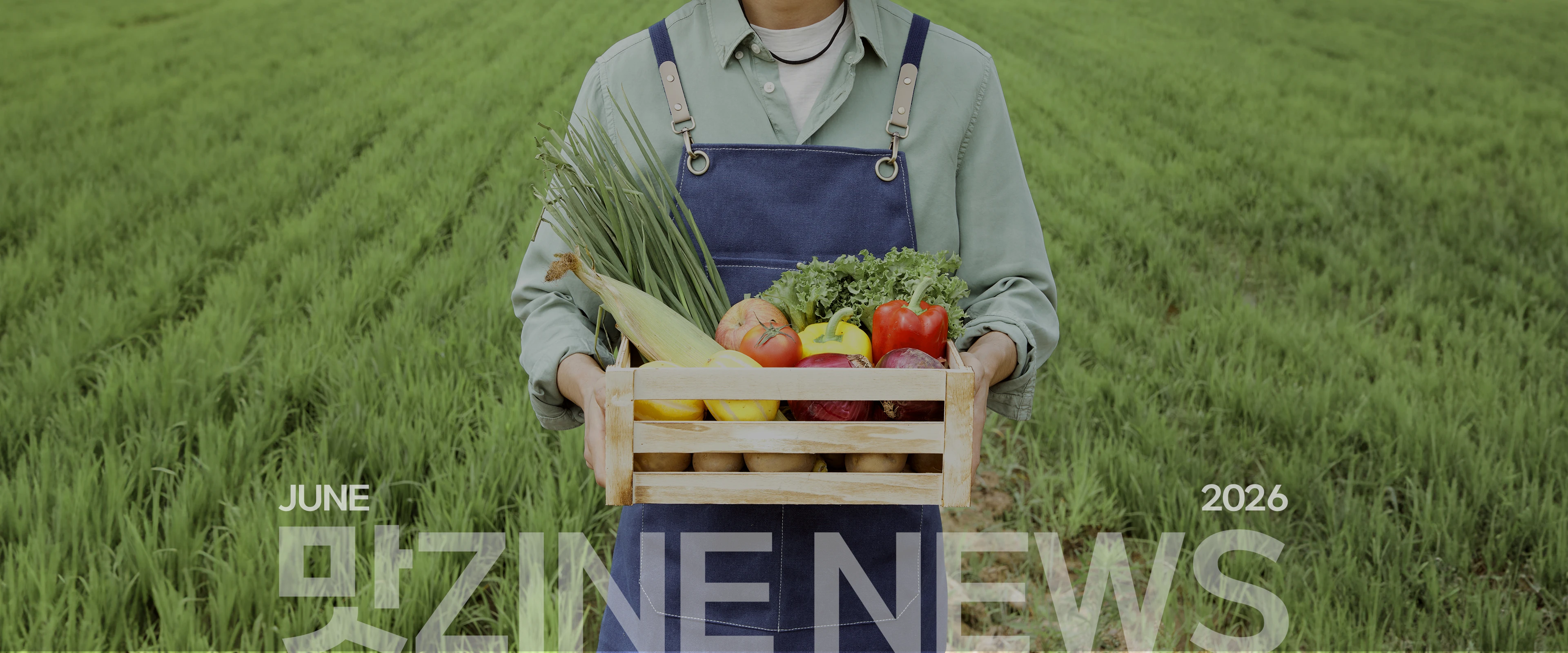 26호 뉴스 5 배너